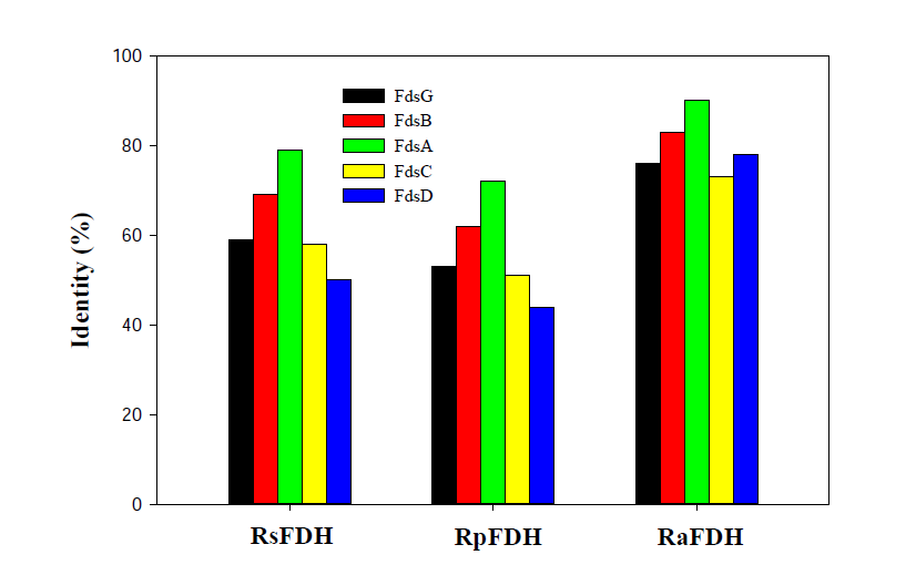 RcFDH를 기반으로 R. sphaeroides (RsFDH), R. palustris (RpFDH), R. aestuarii (RaFDH) 의 FdsGBACD 단백질 서열 유사도 분석