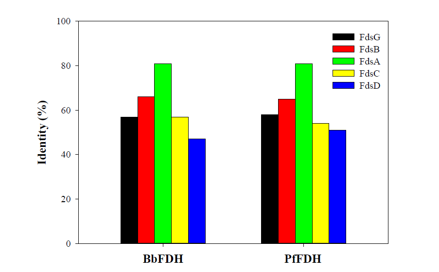 CnFDH를 기반으로 Burkholderiaceae bacterium, Pandoraea faecigallinarum의 FdsGBACD단백질 서열 유사도 분석