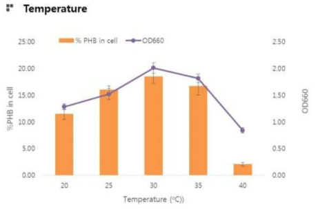 온도별 PHB 생산량 변화