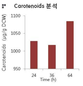 미생물 촉매로부터 생산한 Carotenoids 분석 결과