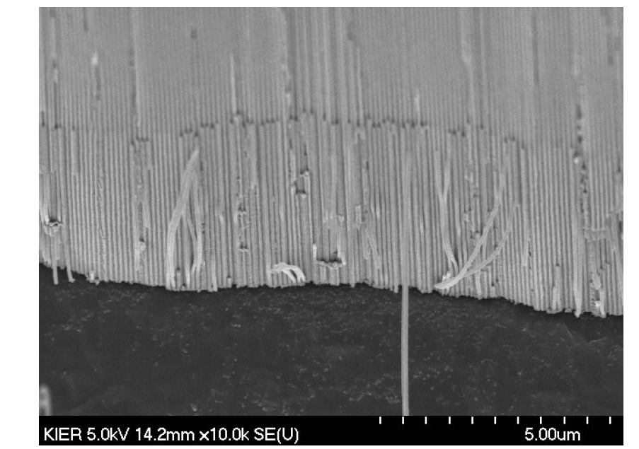 다공성 산화 알루미늄의 Barrier Layer 로 성장한 구리나노막대 실험결과