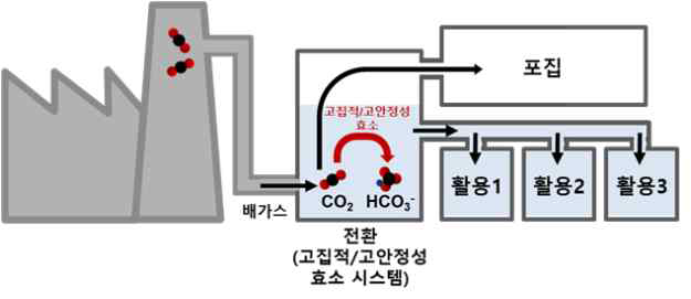 신규기획-효소기반 CO2 전환 공정 기술 개발