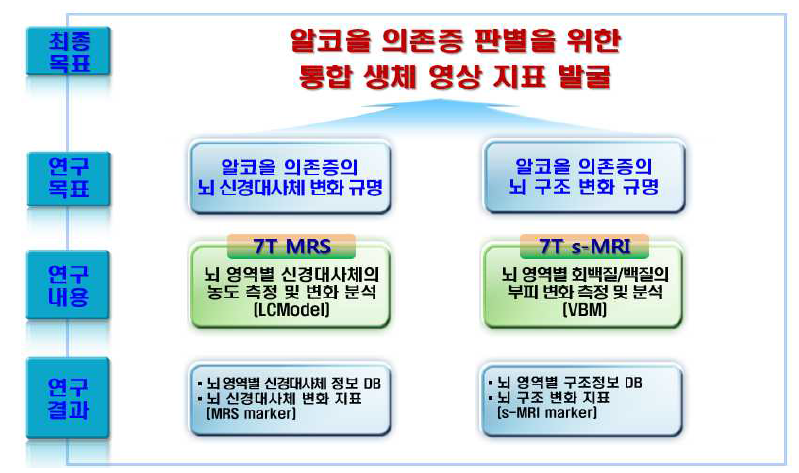 연구 개요도