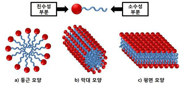 계면활성제의 구성성분 및 농도에 따른 미셀(micelle) 구조