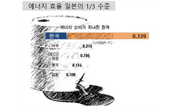 국내 에너지 소비 효율성