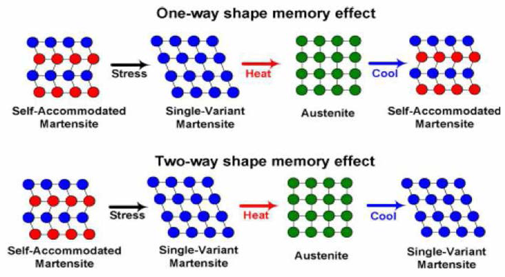 일방향 형상기억과 이방향 형상기억에서 오스테나이트와 마르텐사이트를 묘사