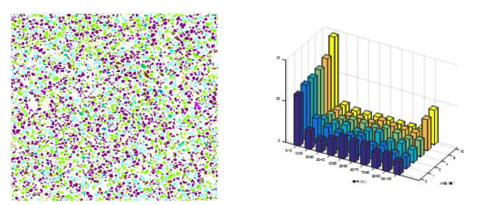 MLA분석 결과 (a) 중광 4분, 200x270mesh – 보라색: 자철석, (b) 분쇄 시간에 따른 품위 분포 변화