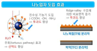 분리막 내 나노입자 도입 효과