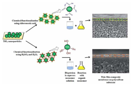 TiO2 표면처리 모식도