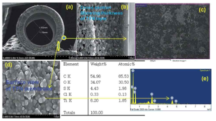 TiO2 나노복합분리막의 SEM이미지 및 EDX 분석 결과