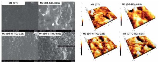 TiO2 나노복합분리막의 SEM 이미지 (왼쪽) 및 AFM 이미지 (오른쪽)