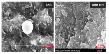 벤토나이트(BnR) 및 산처리-벤토나이트(ABn-NH)의 SEM 이미지