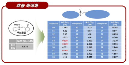 Nrf2 활성화 최적화 물질들에 대한 세포기반 효능평가