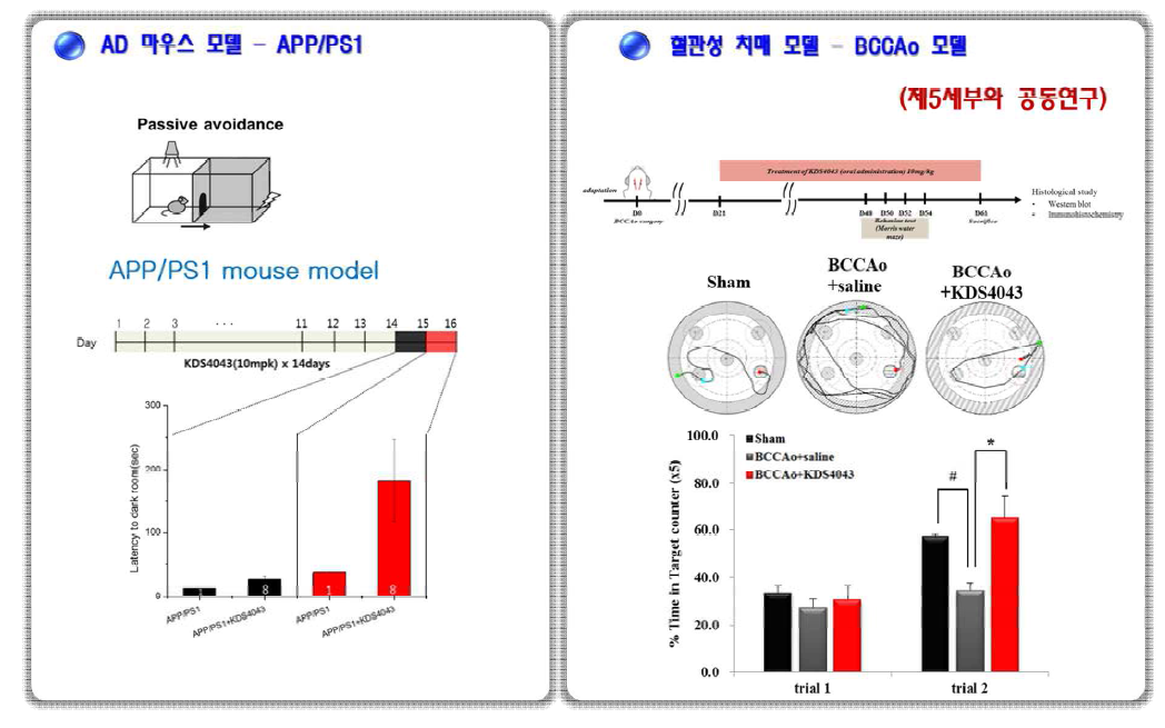 KDS4043에 대한 APP/PS1 마우스 및 BCCAo 치매 모델에서의 효능 검증