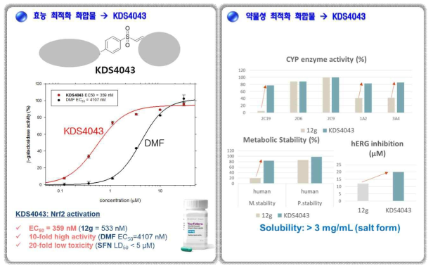 Nrf2 활성화 기반 반응성 교세포 조절을 위한 약물 최적화