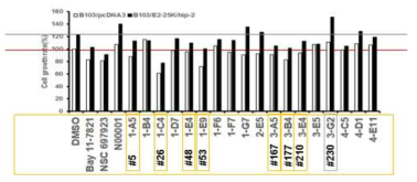 E2-25K 발현하는 B103/E2-25K 세포주를 이용한 2차 screening 결과