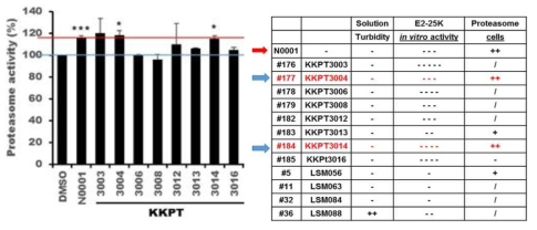 E2-25K저해 후보물질 효능 test & E2-25K inhibitor의 in vitro, cell assay 정리