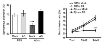 SHIP2 inhibitor에 의한 amyloid beta 기억력 손상 억제