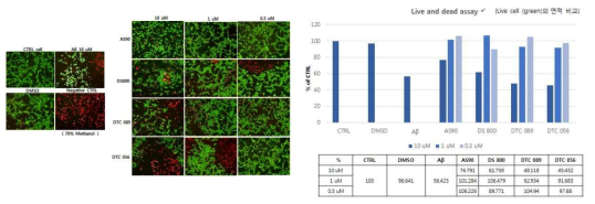 이미지 기반의 아밀로이드베타(1-42)에 대한 세포보호효능평가