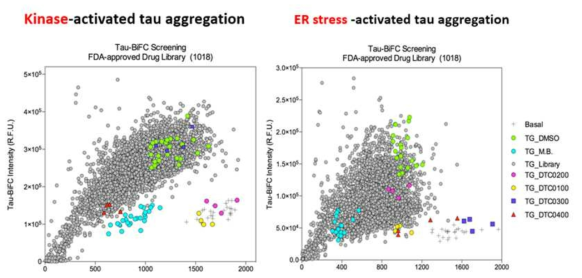 타우 응집 세포주 기반 HCS 스크리닝을 통한 타우 응집 저해 및 세포 독성 저해 물질 선별