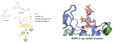 기존 SHIP2 저해제 및 SHIP2 구조 기반 신규 SHIP2 저해제의 디자인