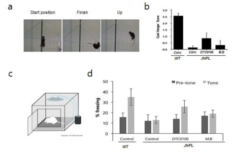 타우 발현 마우스 모델에서 DTC0100 화합물로 인한 운동능력 개선(a, b)과 학습능력 개선(c, d)이 확인됨