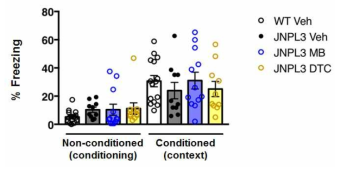 Contextual fear conditioning (CFC) test를 통한 hippocampal memory 평가