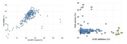 Compound 216좀의 타우응집 저해능과 Nrf2 활성 효능 비교