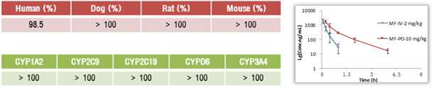 MF의 약물대사 및 PK평가