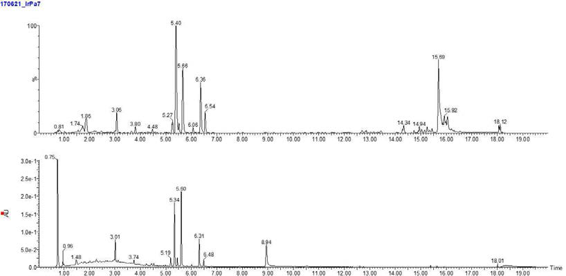 WK001의 주요 대사체의 chemical profile