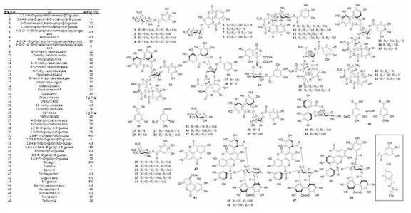 가자로부터 분리된 가수분해형 탄닌의 목록과 화학 구조