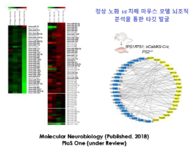 치매 동물 모델의 MicroRNAome 분석