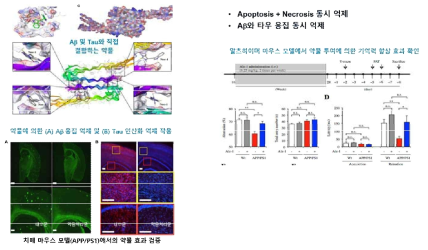 Aβ 응집과 Tau 인산화를 동시에 억제하는 기전을 통해 치매 마우스의 기억력을 향상시키는 약물 (Nec-1) 개발