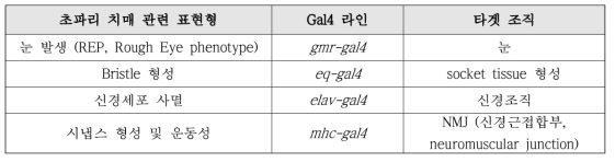 조직 특이적 초파리 Gal4 라인