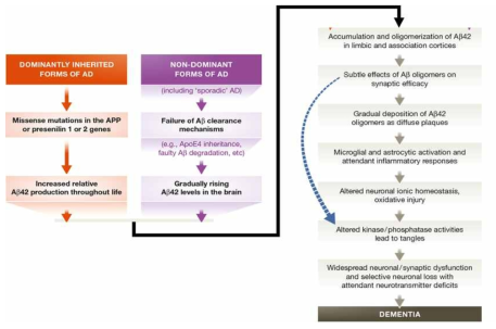 Amyloid 가설에 기반한 핵심 AD 발병 기전 (Selkoe and Andy, EMBO MM, 2016)