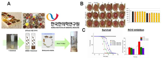 동물 치매모델을 활용한 한방추출물의 AD 표현형 (5세부) 조절 활성 검증. (A) 4세부에서 도출된 한방추출물의 AD 표현형 조절효능 검증 과정 (B) 한방추출물의 AD 표현형 조절 검증 에세이 (REP, survival, ROS 생성)