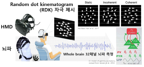 무작위로 움직이는 점들 중 일정한 패턴을 가지고 움직임의 점들의 방향 인지력에 대한 검사도구로서, 구성된 시각자극 제시를 위한 HMD와 인지력 평가를 위한 뇌파 측정 장비로 시스템 구성