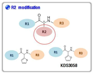 R2 modification을 통한 새로운 스캐폴드