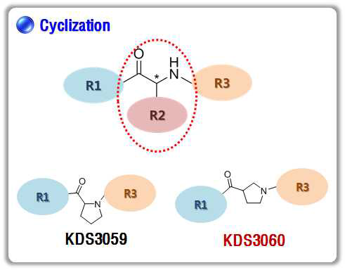 Cyclization을 통한 새로운 스캐폴드