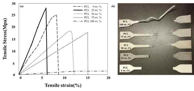 Results of mechanical test. (a) Tensile Strain-Stress Curve, and (b) Fracture Images