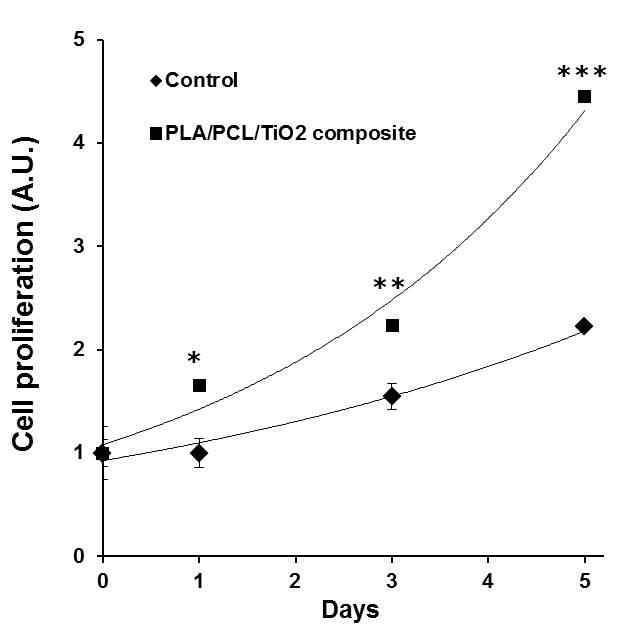 PLA/PCL/TiO2혼합물 scaffold상에서 시간경과에 따른 마우스 근골격 세포의 성장변화