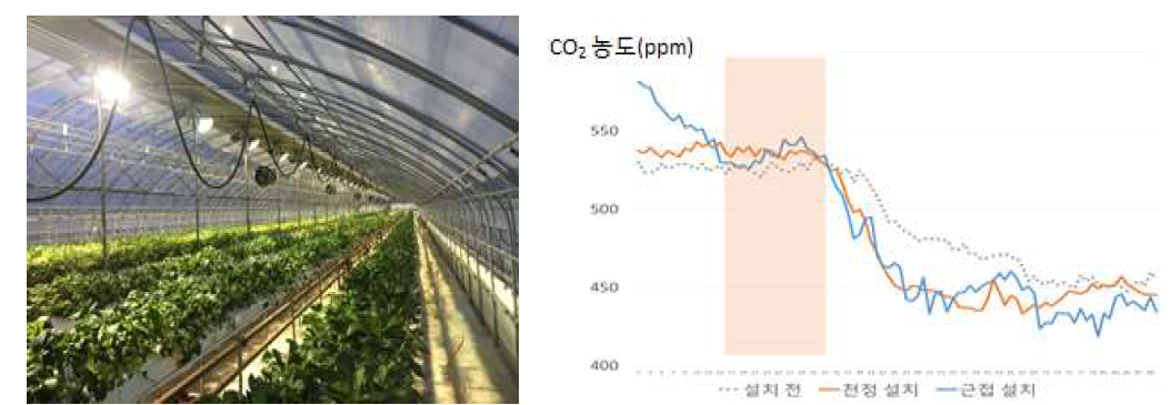 보광등 설치 전경 및 보광등 설치 전/후 CO 농도(광합성 활성도) 변화