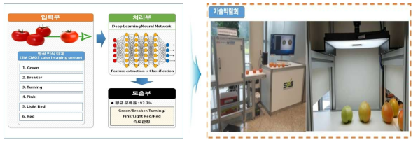 딥러닝 학습 기반 숙도 판별장치