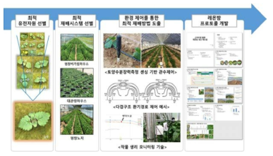 기능성 식물 재배 프로토콜 개발 과정을 통한 레몬밤 프로토콜 개발