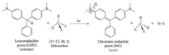 Chemical scheme of radical induced oxidation of leucomalachitegreen(LMG) to malachite green(MG). M Alqathamiet al. Phys. Med. Biol. 2016