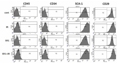 The expression of surface antigens in OP9 with or without SR1