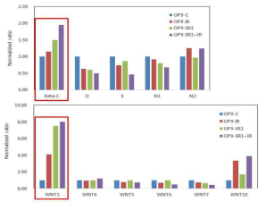 Quantitative real-time polymerase chain reaction analysis of relative mRNA expression of pluripotent markers in OP9 with or without SR1