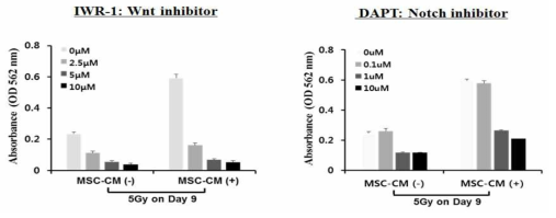 Effect of inhibitor of Wnt and Notch pathway on enhanced regrowth of irradiated intestinal mini organ with treatment of MSC-CM