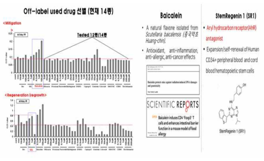 Application of intestinal mini organ model to screen radiation countermeasure