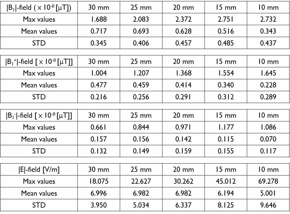 B1 분포도, B1+ 필드, B1- 필드, E 필드의 비교 (자기장의 세기의 최대값, 평균값, 표준편차를 통한 민감도 및 균질도 비교)